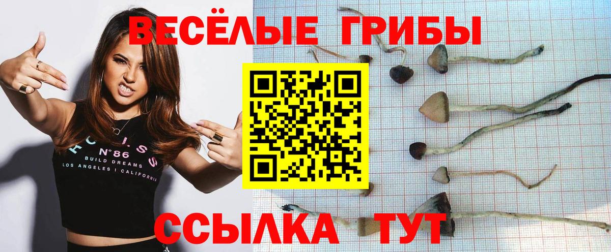 Псилоцибиновые грибы Magic Shrooms  Вход с VPN  Советск  Псилоцибиновые грибы Psilocybine cubensis 